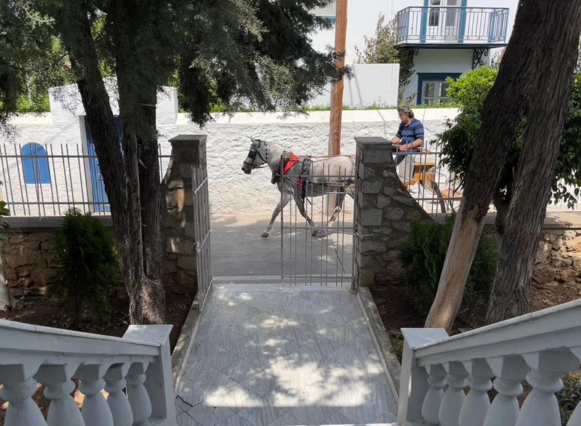 The Elegant Summer House Spetses Town Extérieur photo